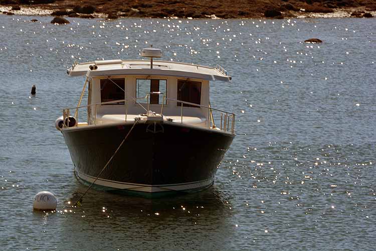 boats in harbor